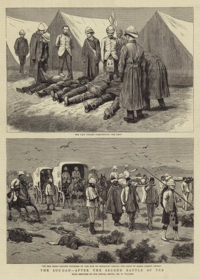 The Soudan, after the Second Battle of Teb by Frederic Villiers